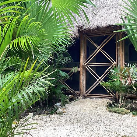 Yaxchen Tulum Cabanas & Cenote المظهر الخارجي الصورة