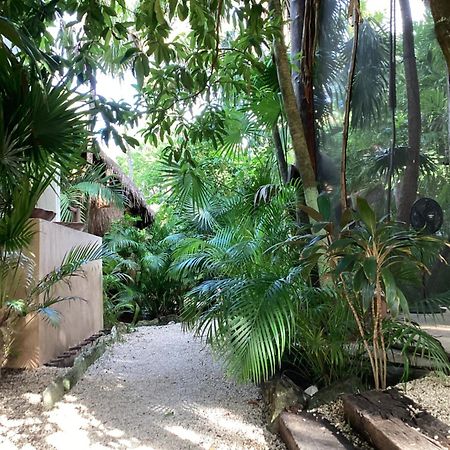 Yaxchen Tulum Cabanas & Cenote المظهر الخارجي الصورة