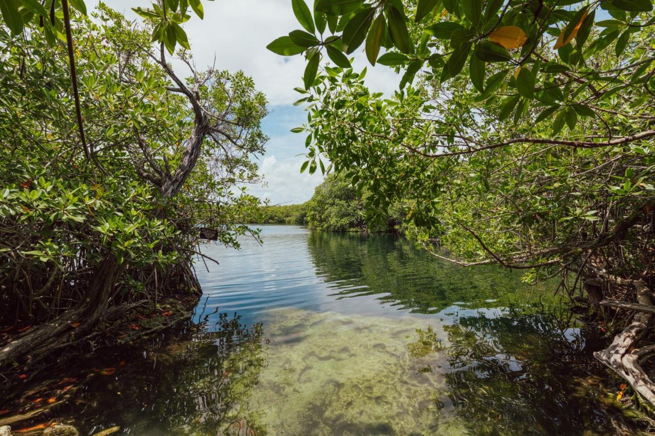 Yaxchen Tulum Cabanas & Cenote المظهر الخارجي الصورة