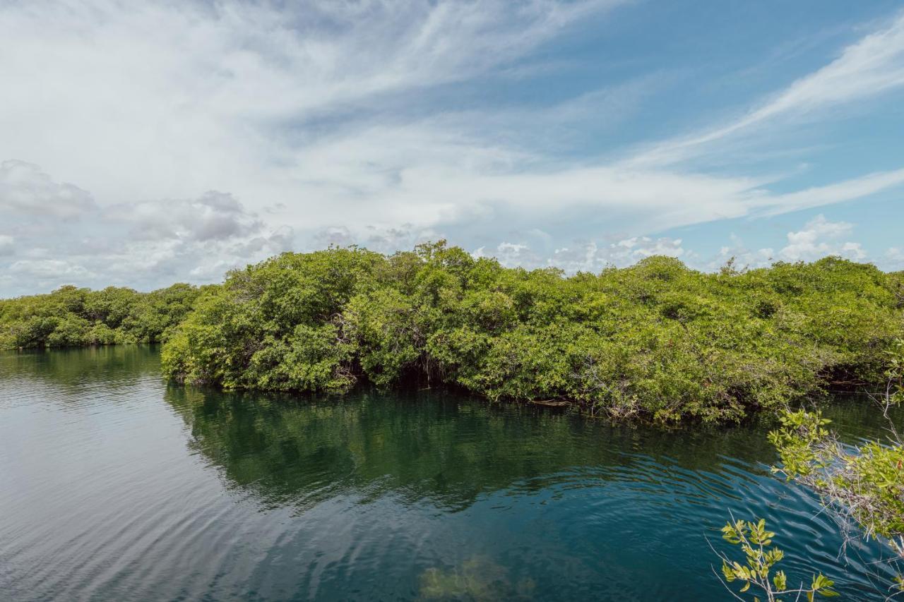 Yaxchen Tulum Cabanas & Cenote المظهر الخارجي الصورة