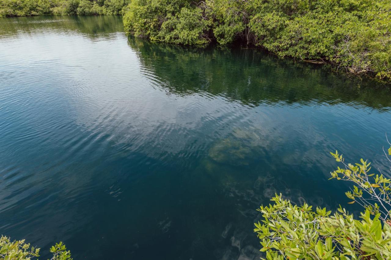 Yaxchen Tulum Cabanas & Cenote المظهر الخارجي الصورة