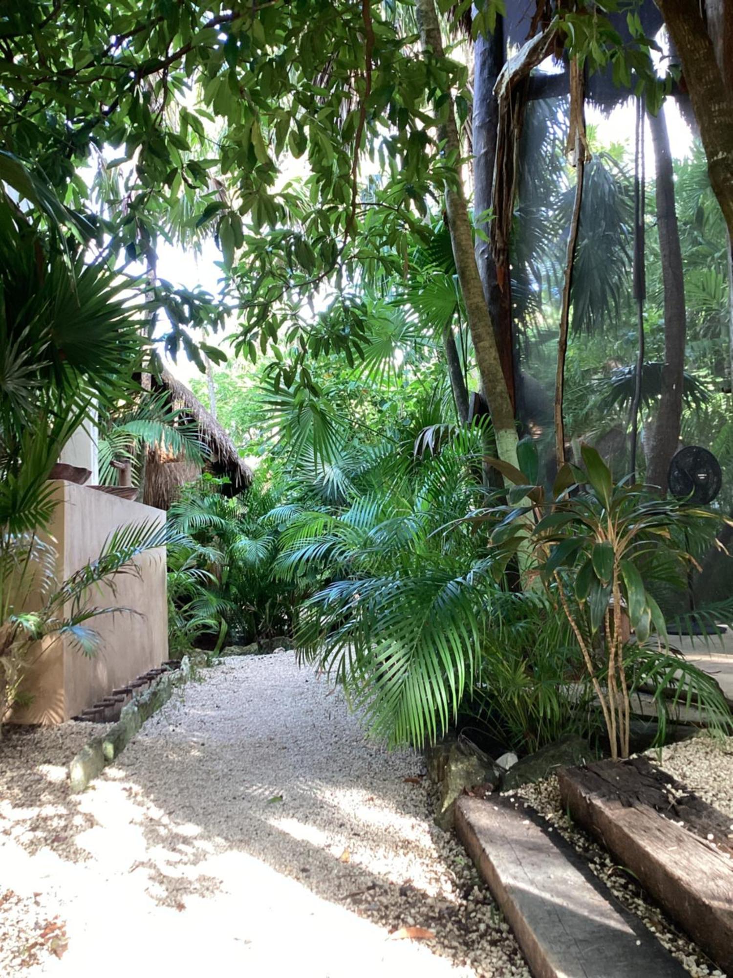 Yaxchen Tulum Cabanas & Cenote المظهر الخارجي الصورة